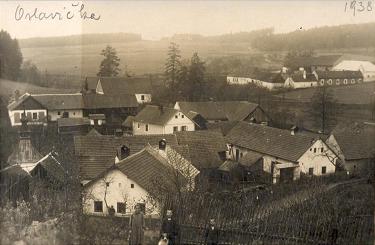 hist oslavicka