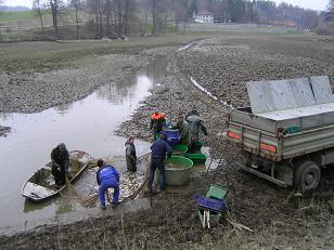 rybnik oslavicka